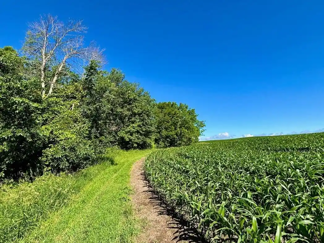 3rd image of 0 Orlin Lane Lane, Stockholm, WI 54769 | MLS# 1968705