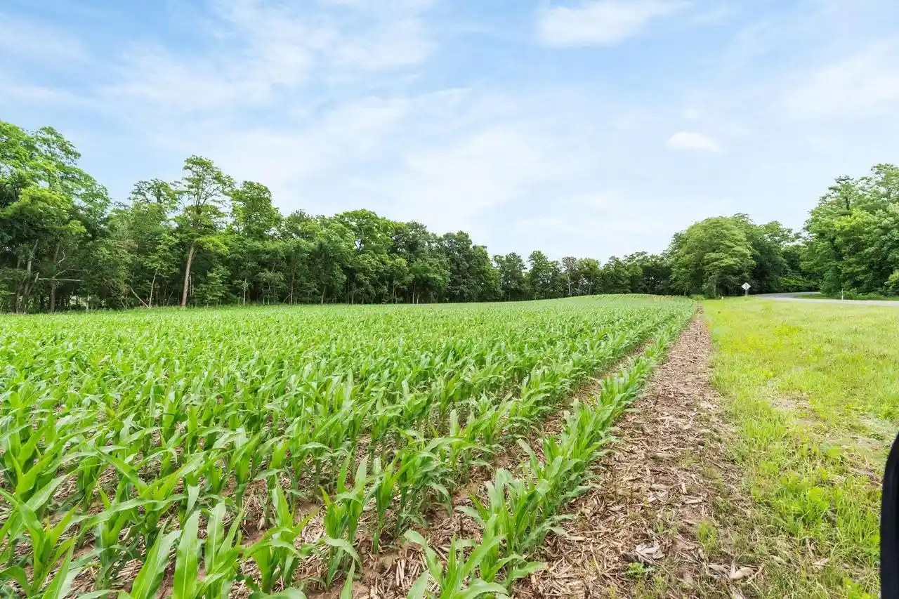 Photo 4 of Land for sale at 1097+/- Acres Hwy T, Baraboo, WI 53913 | MLS# 2026523 | Listing updated on 2026-06-23