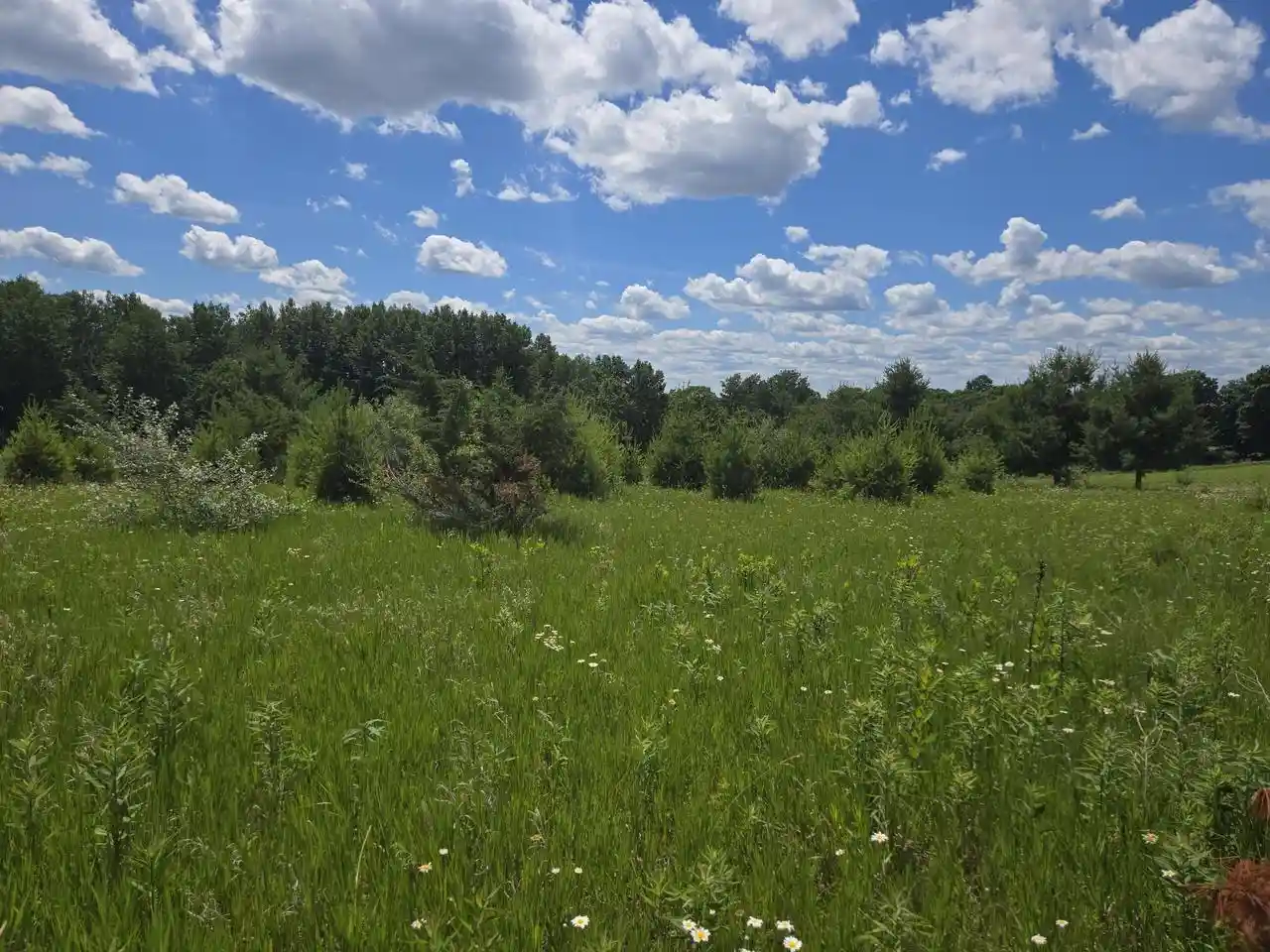 1st image of L1076 Hunt Clb Bugle Court Court, La Valle, WI 53941 | MLS# 2026530