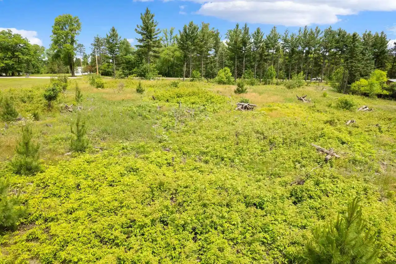 Homes for sale in Pound, WI | County Z Road Road, Pound, WI 54161 | MLS# 50327966