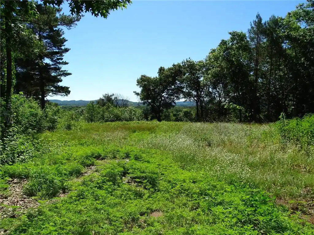 1st image of N4916 County Road Road, Arkansaw, WI 54721 | MLS# 7098388