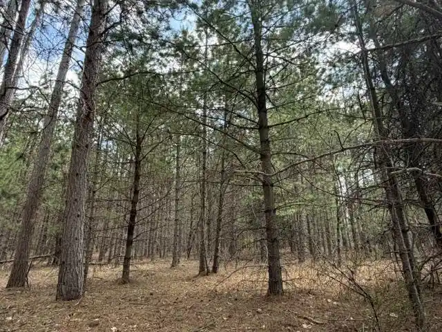 Homes for sale in Pembine, WI | Hatalak Dr Dr, Pembine, WI 54156 | MLS# 50327986