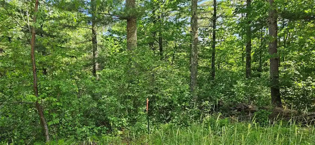 Photo 1 of Land for sale at Tbd Nordic Way, Cable, WI 54821 | MLS# 1602575 | Listing updated on 2026-07-20