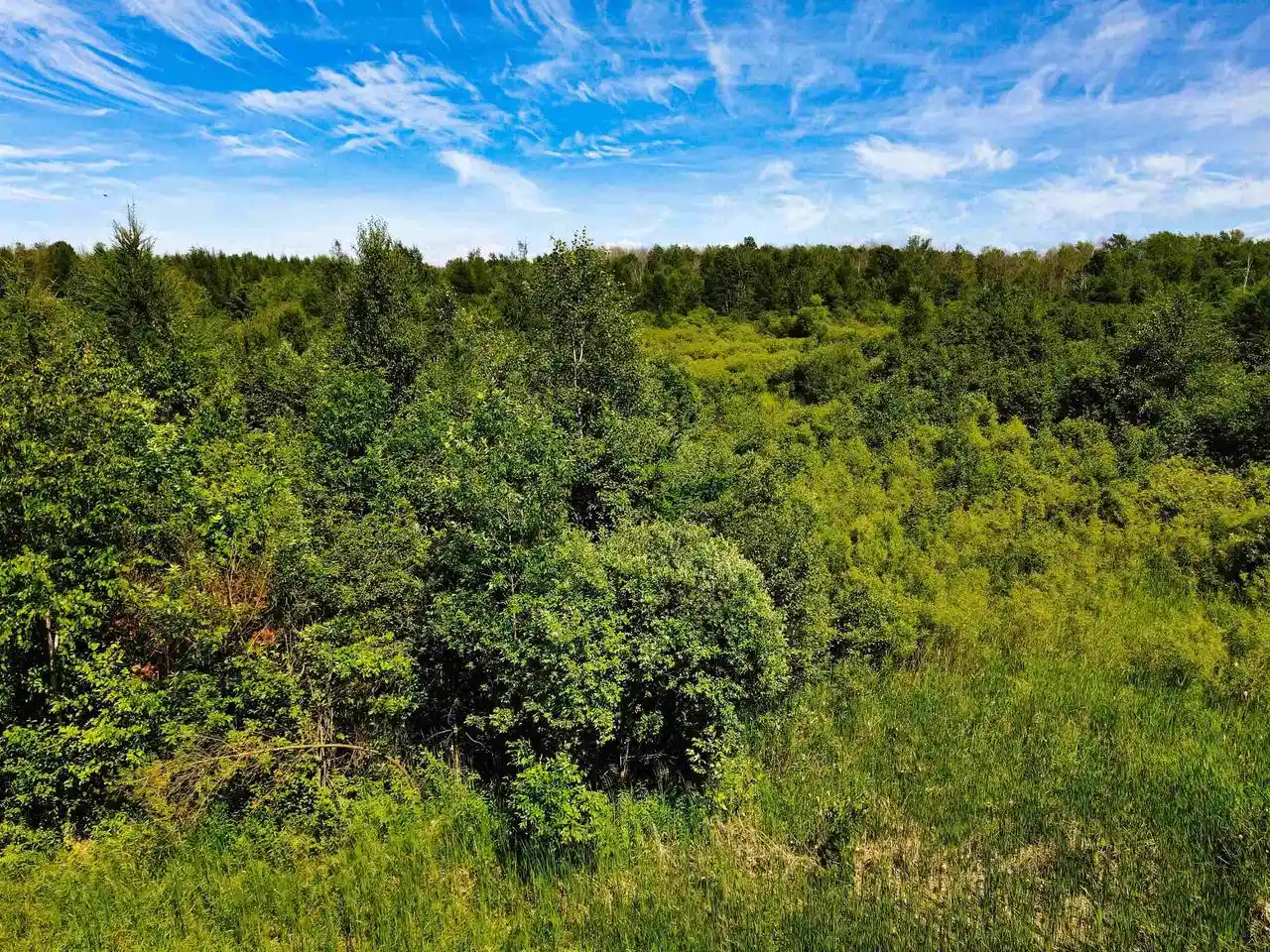 16th image of County Road Y, Peshtigo, WI 54157 | MLS# 50328014