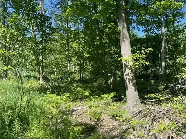 Homes for sale in Gillett, WI | Cty Shawano County Line Road Road, Gillett, WI 54124 | MLS# 1968840