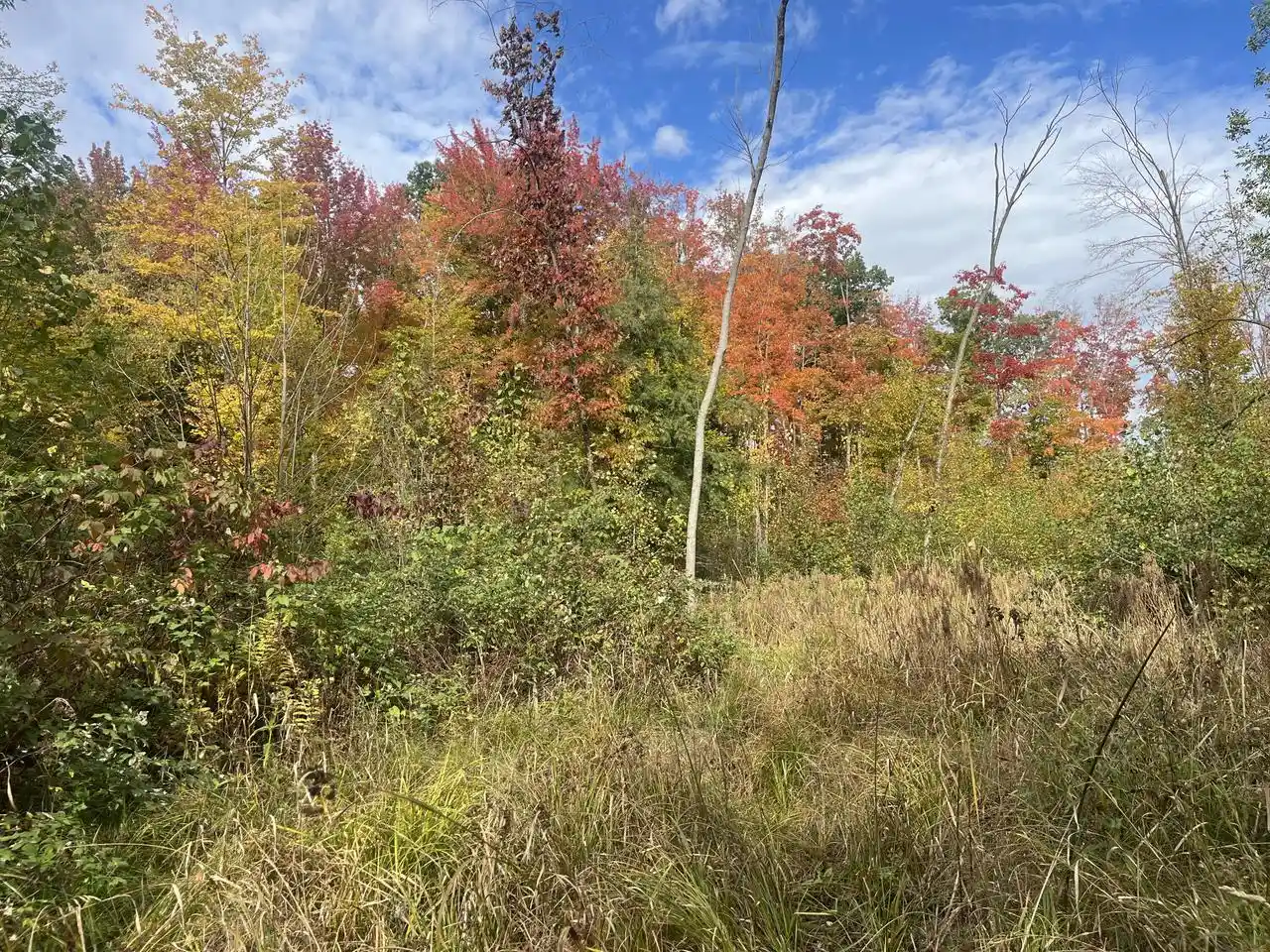 Homes for sale in Gillett, WI | Cty Shawano County Line Road Road, Gillett, WI 54124 | MLS# 1968840