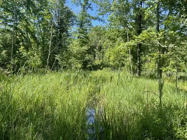 Homes for sale in Gillett, WI | Cty Shawano County Line Road Road, Gillett, WI 54124 | MLS# 1968840