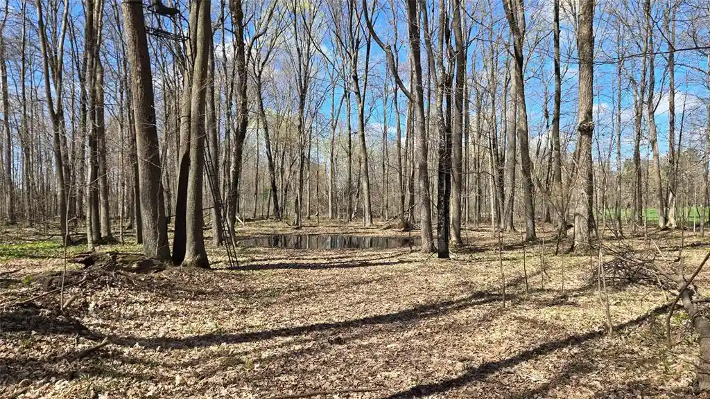 3rd image of 012345 26Th Ave, Rice Lake, WI 54868 | MLS# 1602600