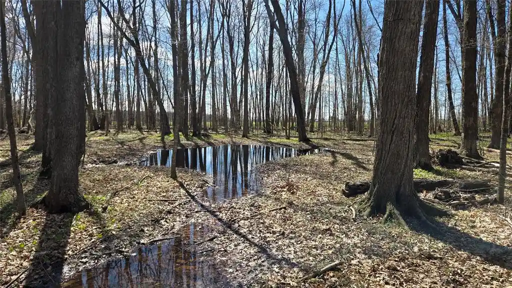5th image of 012345 26Th Ave, Rice Lake, WI 54868 | MLS# 1602600