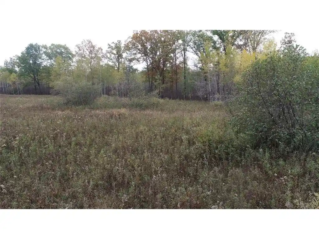 19th image of 0 20th Avenue Avenue, Cadott, WI 54727 | MLS# 7098803