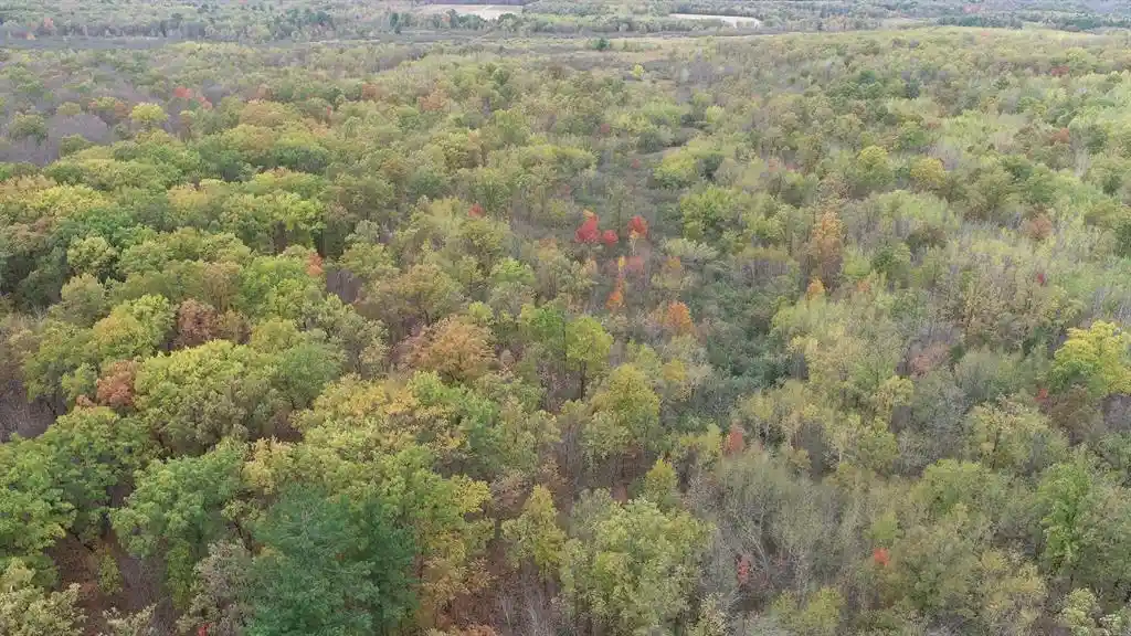 Homes for sale in Cadott, WI | 0 20Th Avenue Avenue, Cadott, WI 54727 | MLS# 1602601