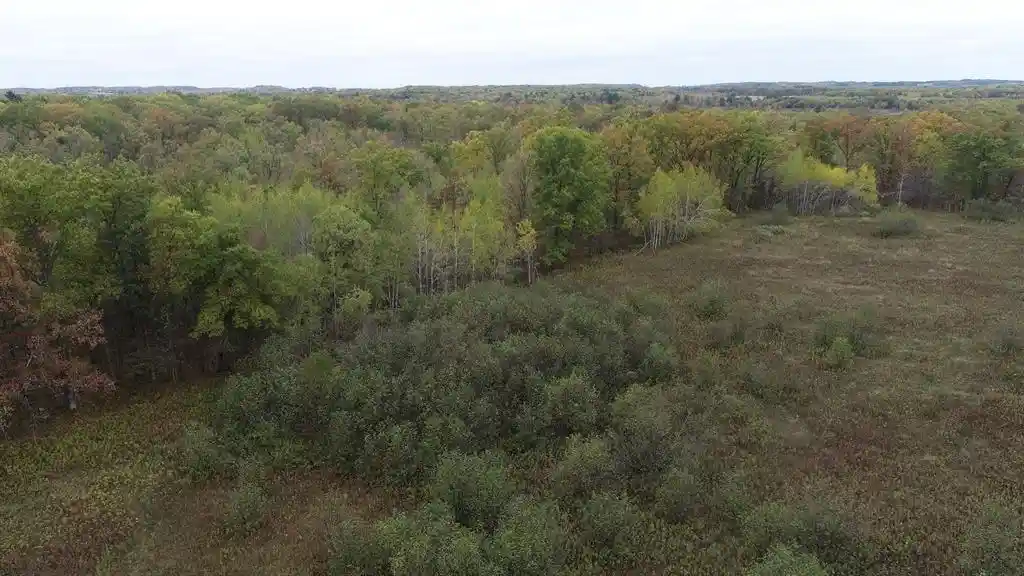 Homes for sale in Cadott, WI | 0 20Th Avenue Avenue, Cadott, WI 54727 | MLS# 1602601