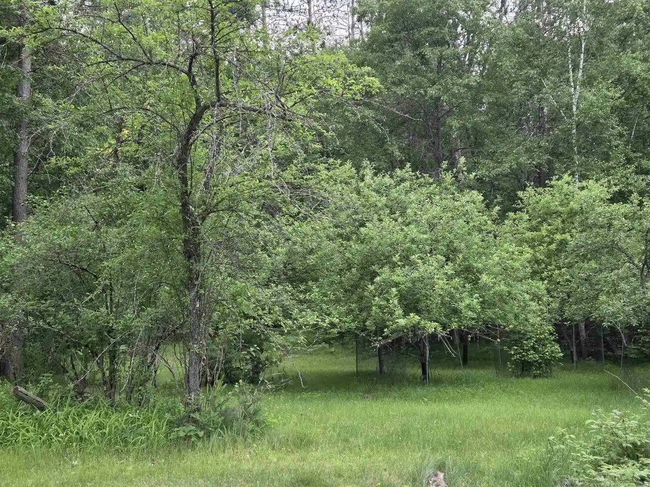 Homes for sale in Amberg, WI | N13881 Northway Dr Dr, Amberg, WI 54102 | MLS# 50328059