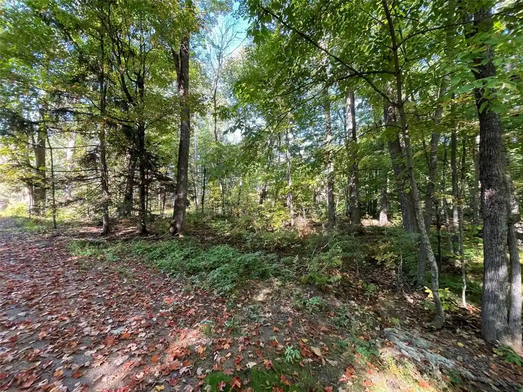 Homes for sale in Stone Lake, WI | 6073 Elsie Road Road, Stone Lake, WI 54876 | MLS# 1602616