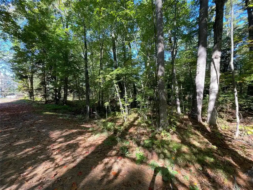 Homes for sale in Stone Lake, WI | 6073 Elsie Road Road, Stone Lake, WI 54876 | MLS# 1602616