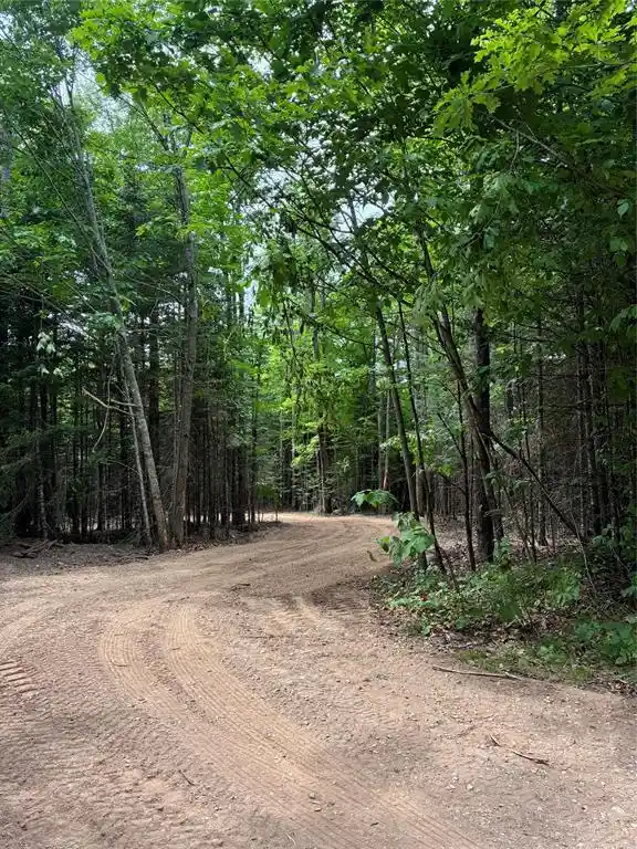Homes for sale in Loretta, WI | Lot 5 Uncle Toms Road, Loretta, WI 54896 | MLS# 1602570