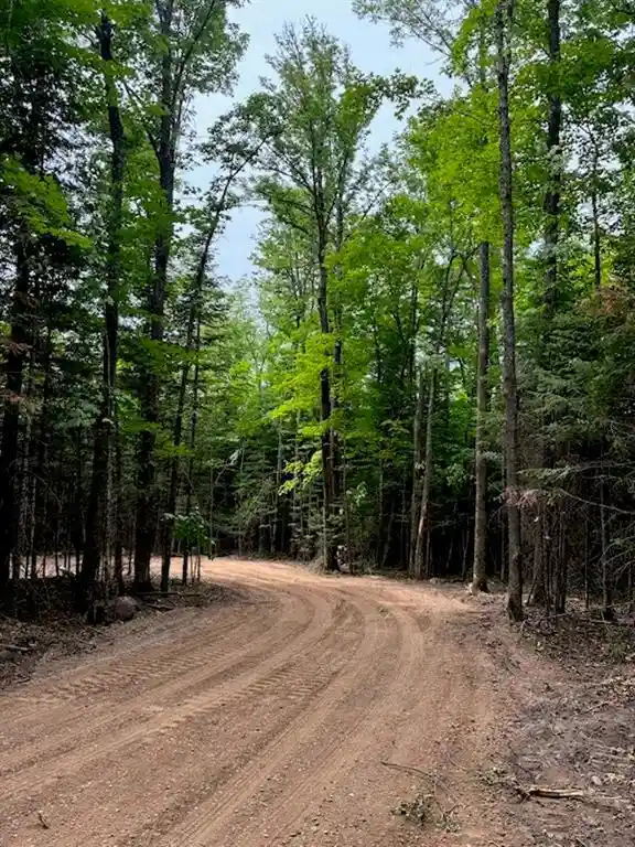 Homes for sale in Loretta, WI | Lot 5 Uncle Toms Road, Loretta, WI 54896 | MLS# 1602570