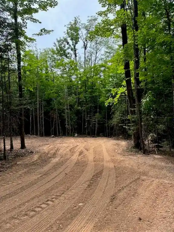 Homes for sale in Loretta, WI | Lot 5 Uncle Toms Road, Loretta, WI 54896 | MLS# 1602570