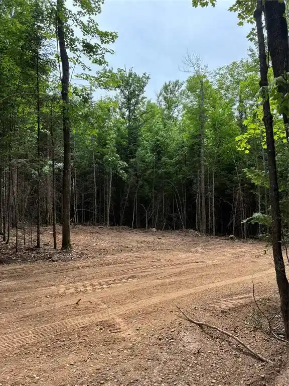 Homes for sale in Loretta, WI | Lot 5 Uncle Toms Road, Loretta, WI 54896 | MLS# 1602570