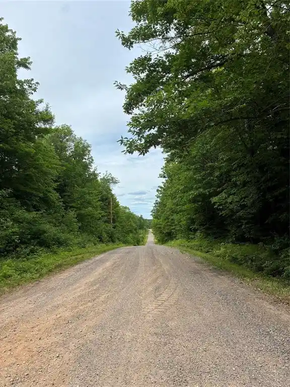 Homes for sale in Loretta, WI | Lot 5 Uncle Toms Road, Loretta, WI 54896 | MLS# 1602570