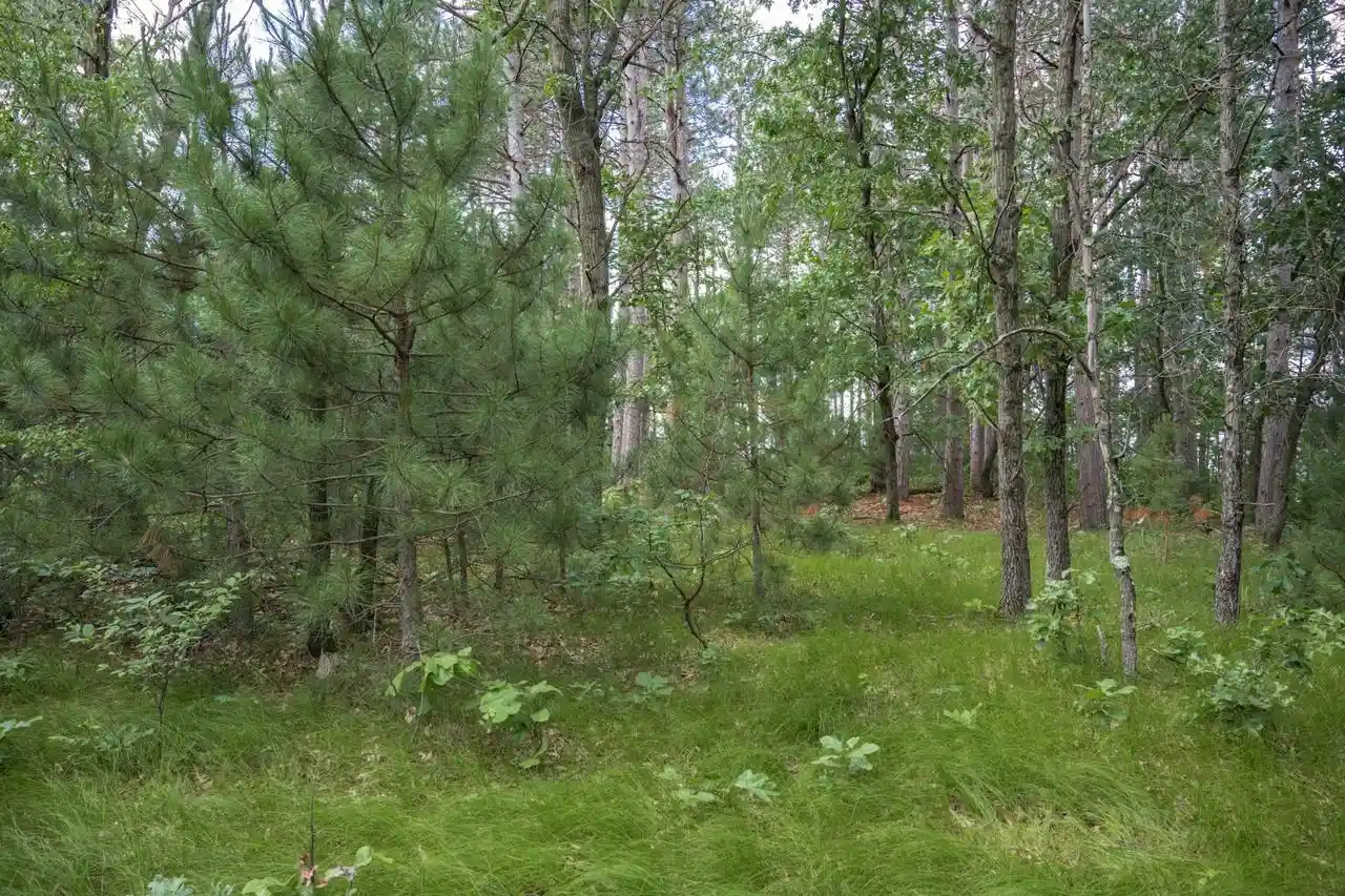 5th image of Lot 49 & Ol 7 13Th Dr Dr, Friendship, WI 53934 | MLS# 2026714