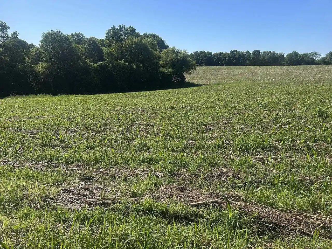Homes for sale in Soldiers Grove, WI | 4247 County Road C, Soldiers Grove, WI 54655 | MLS# 2026716