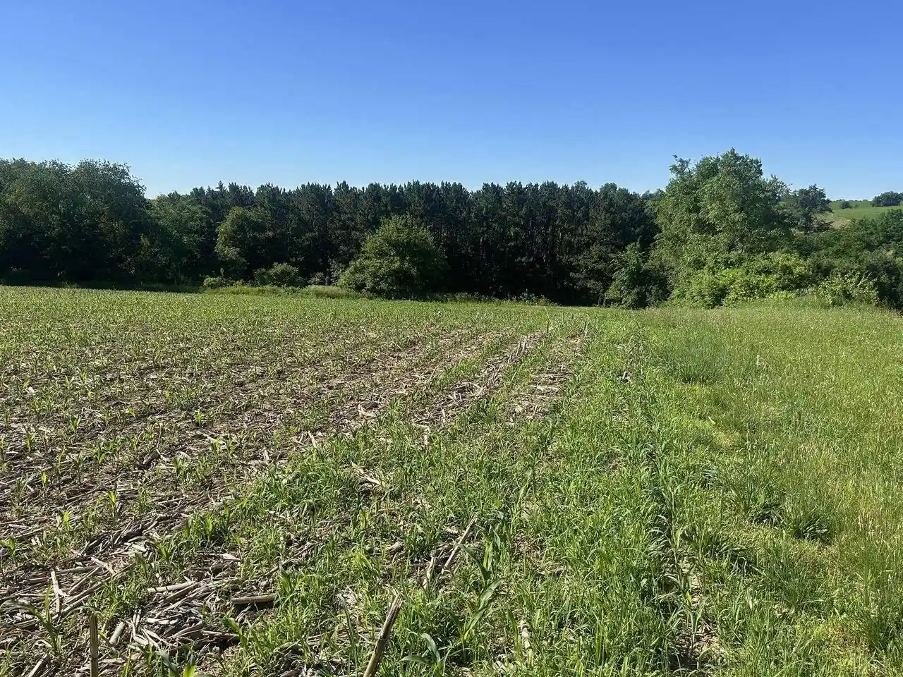 Homes for sale in Soldiers Grove, WI | 4247 County Road C, Soldiers Grove, WI 54655 | MLS# 2026716