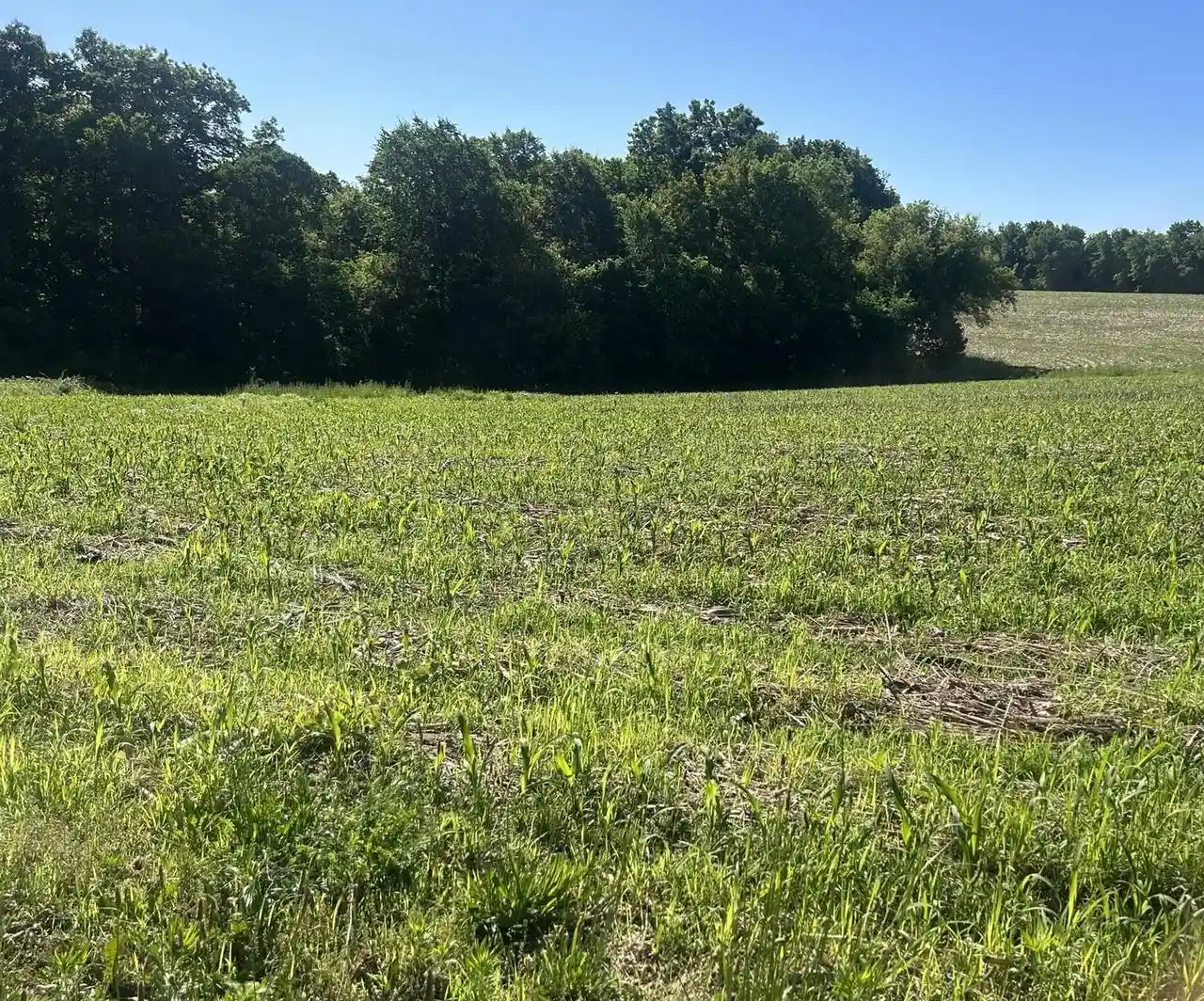 Homes for sale in Soldiers Grove, WI | 4247 County Road C, Soldiers Grove, WI 54655 | MLS# 2026716