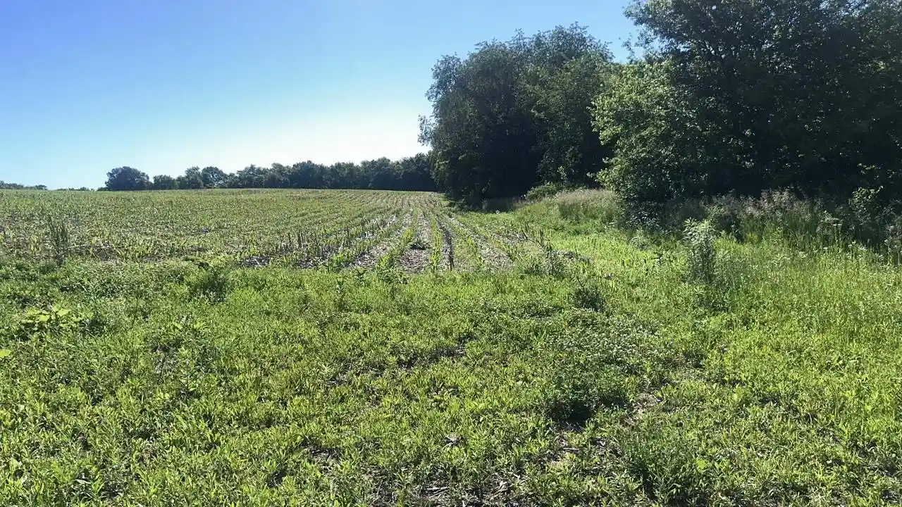 Homes for sale in Soldiers Grove, WI | 4247 County Road C, Soldiers Grove, WI 54655 | MLS# 2026716