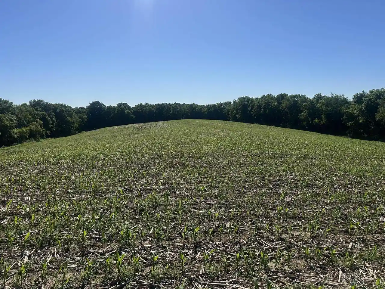 Homes for sale in Soldiers Grove, WI | 4247 County Road C, Soldiers Grove, WI 54655 | MLS# 2026716