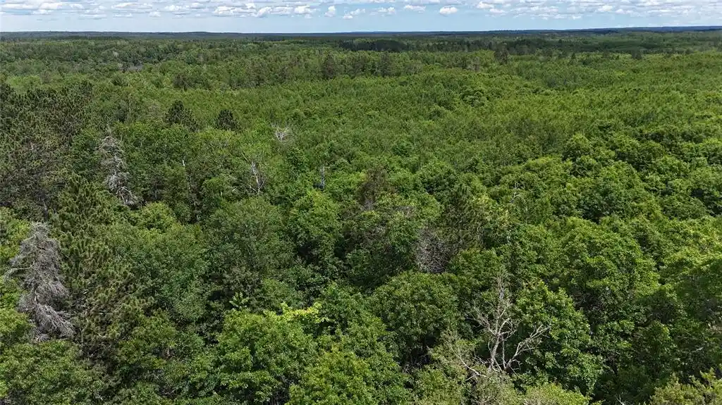 Homes for sale in Gordon, WI | Tbd E Mail Road Road, Gordon, WI 54838 | MLS# 1602647