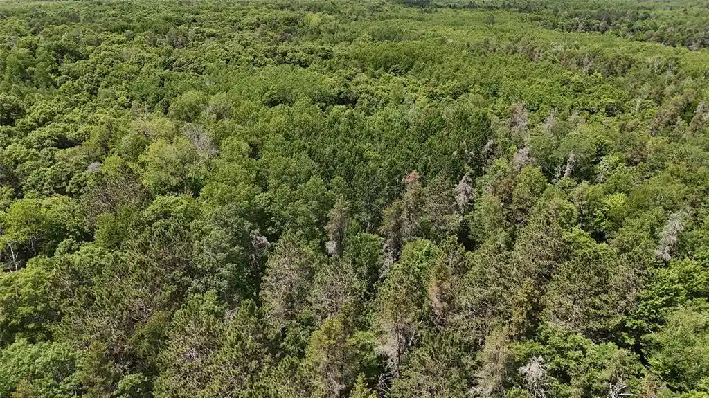 Homes for sale in Gordon, WI | Tbd E Mail Road Road, Gordon, WI 54838 | MLS# 1602647