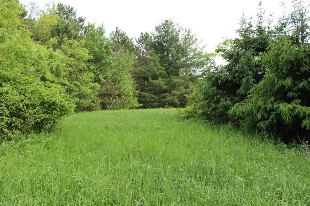 Homes for sale in Humbird, WI | (Undisclosed), Humbird, WI 54746 | MLS# 1602650