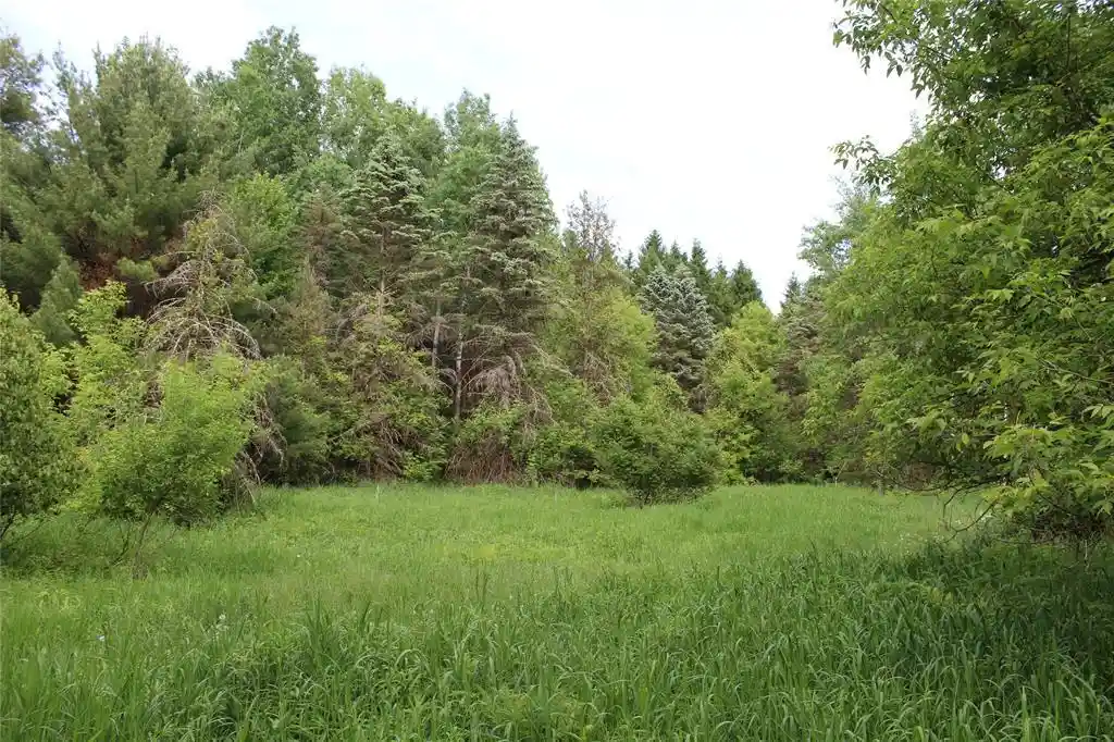 Homes for sale in Humbird, WI | (Undisclosed), Humbird, WI 54746 | MLS# 1602650