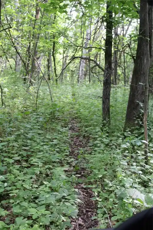 Homes for sale in Humbird, WI | (Undisclosed), Humbird, WI 54746 | MLS# 1602650