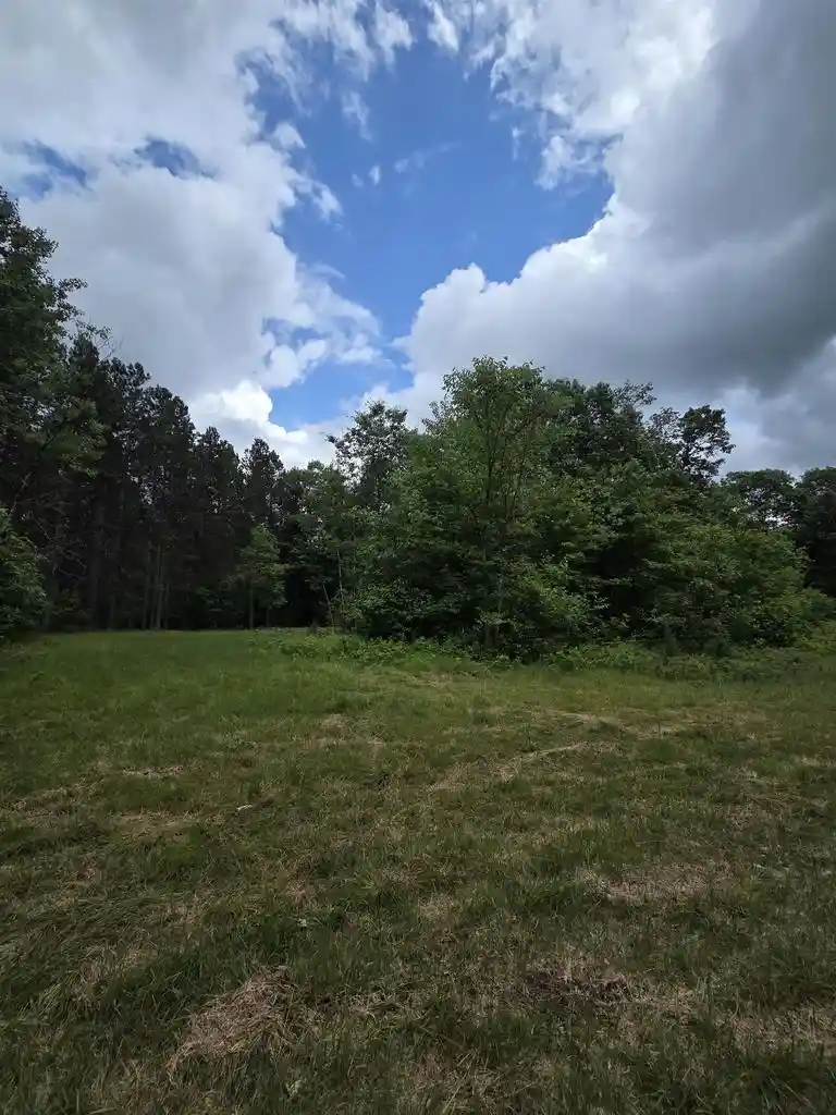 Homes for sale in Athelstane, WI | Tower Road Road, Athelstane, WI 54104 | MLS# 50328063