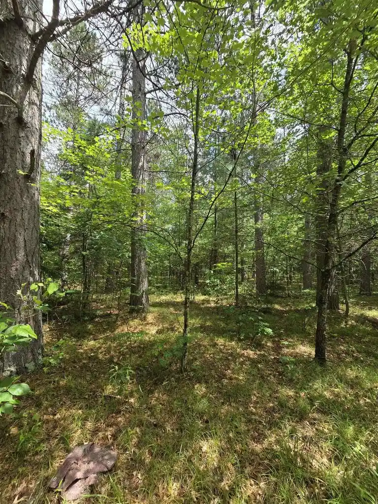 Homes for sale in Athelstane, WI | Tower Road Road, Athelstane, WI 54104 | MLS# 50328063