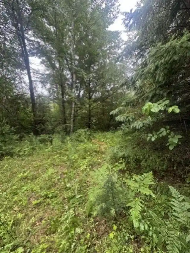Homes for sale in Green Bay, WI | Elmwood Road Road, Green Bay, WI 54313 | MLS# 50328141