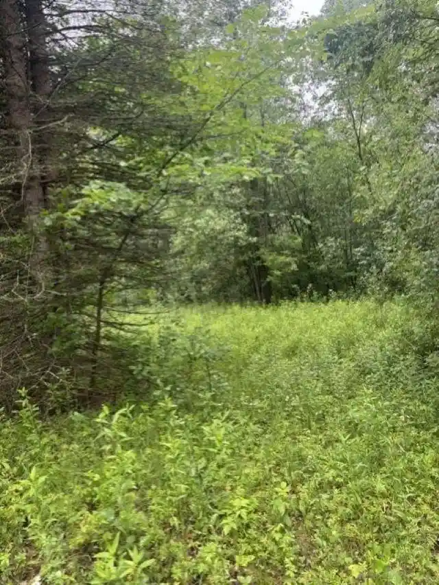 Homes for sale in Green Bay, WI | Elmwood Road Road, Green Bay, WI 54313 | MLS# 50328141