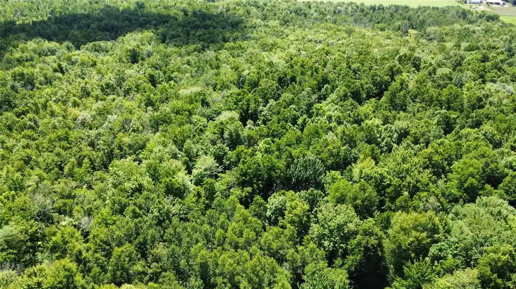1st image of Ooo Snowshoe Rd, Wausau, WI 54403 | MLS# 1602503