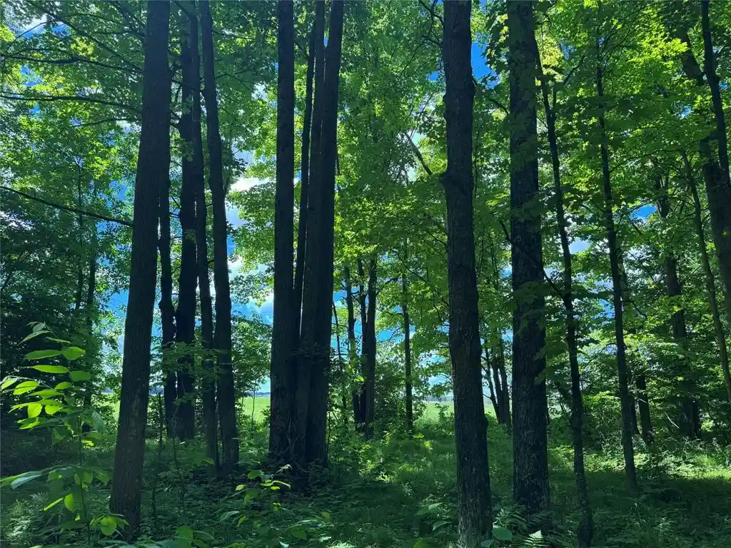2nd image of Ooo Snowshoe Rd, Wausau, WI 54403 | MLS# 1602503