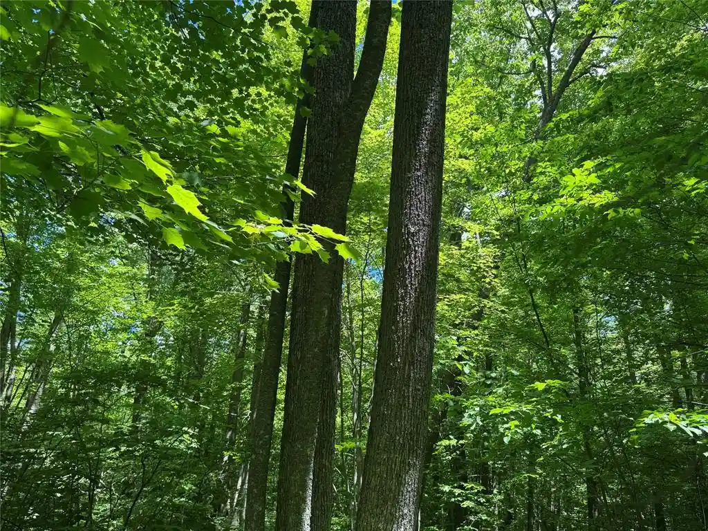 49th image of Ooo Snowshoe Rd, Wausau, WI 54403 | MLS# 1602503