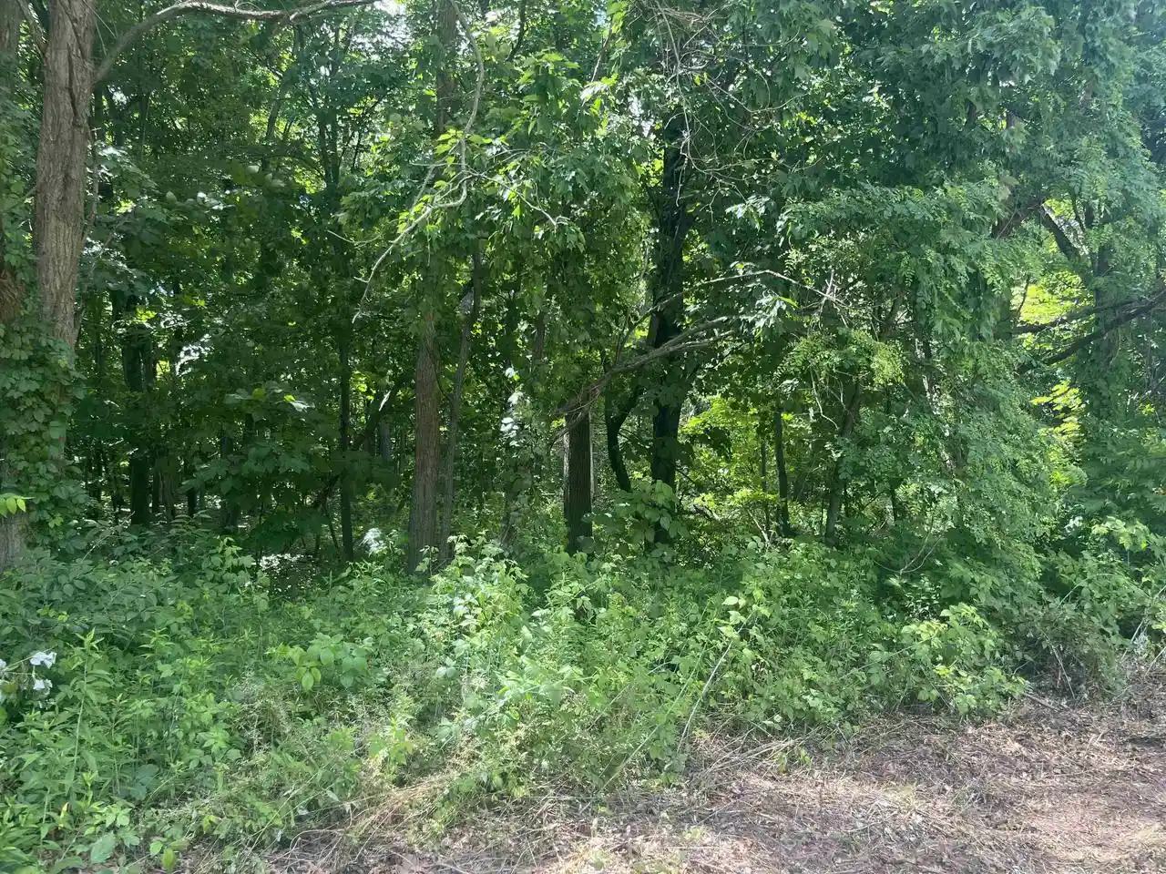 Homes for sale in Mauston, WI | Lots 10 & 11 Oak Hill Estate East Street Street, Mauston, WI 53948 | MLS# 2026778