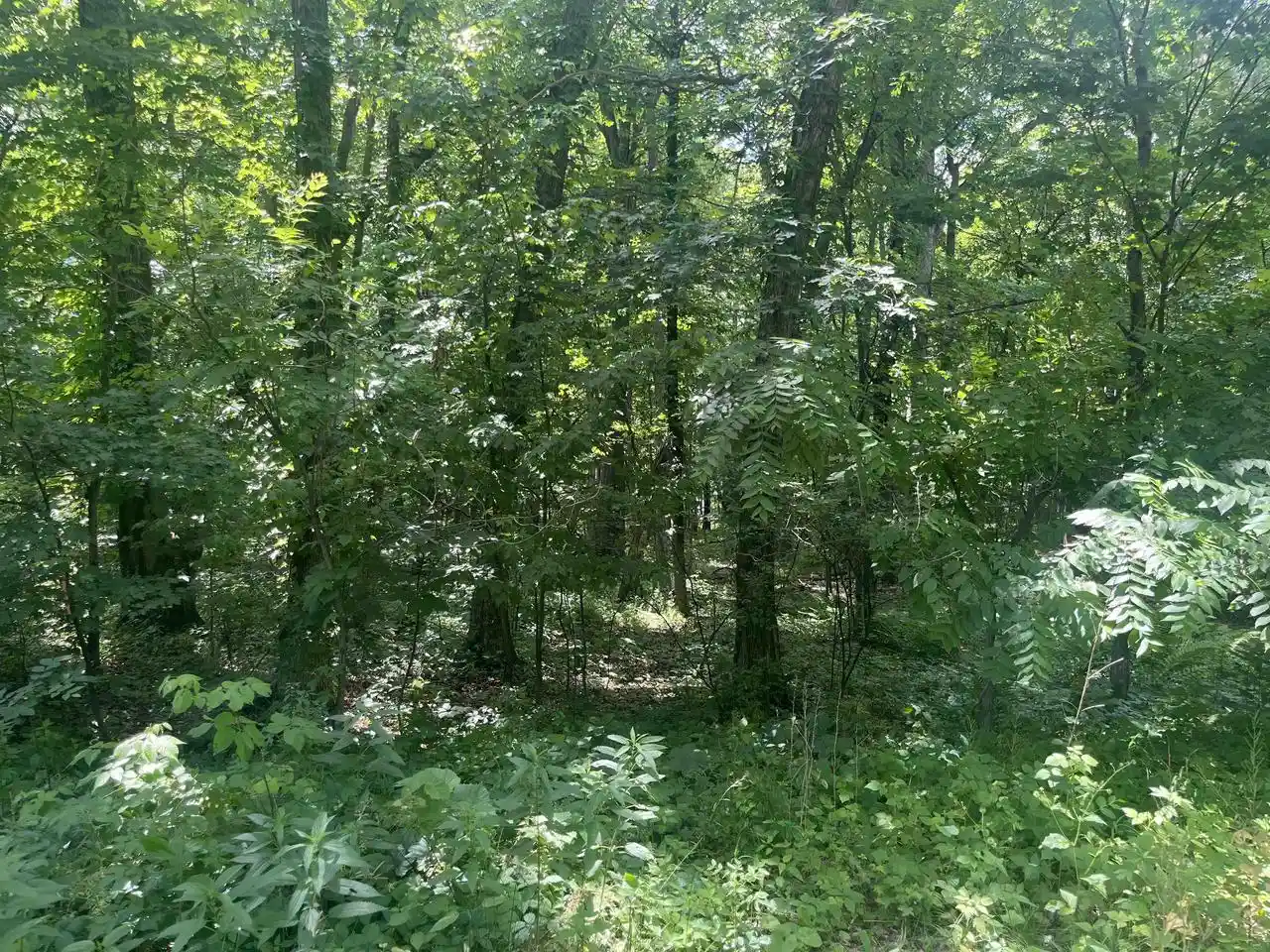 Homes for sale in Mauston, WI | Lots 10 & 11 Oak Hill Estate East Street Street, Mauston, WI 53948 | MLS# 2026778