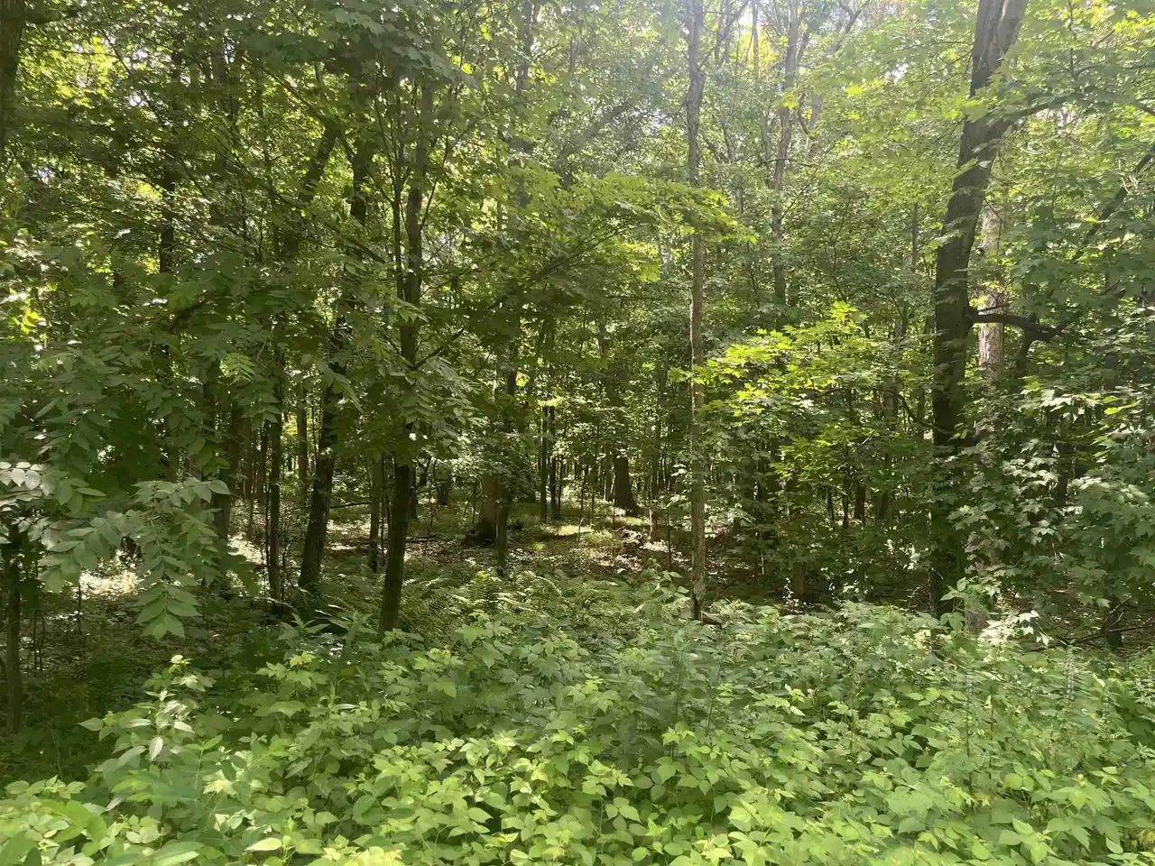 Homes for sale in Mauston, WI | Lots 10 & 11 Oak Hill Estate East Street Street, Mauston, WI 53948 | MLS# 2026778