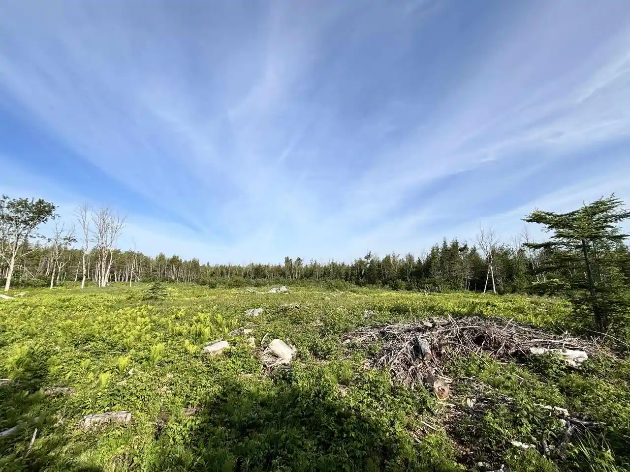 Homes for sale in Cedar River, MI | N10594 Hwy M-35, Cedar River, MI 49887 | MLS# 50328171