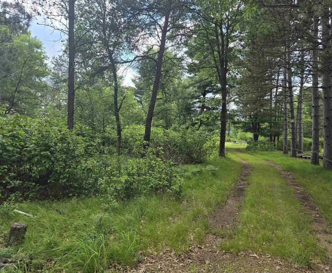 Homes for sale in Nekoosa, WI | 856 Sterling Road Road, Nekoosa, WI 54457 | MLS# 2026803