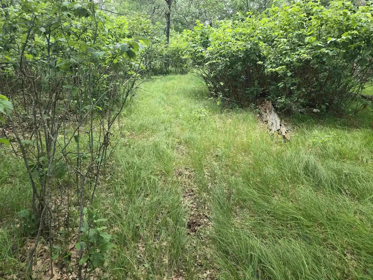 Homes for sale in Nekoosa, WI | 856 Sterling Road Road, Nekoosa, WI 54457 | MLS# 2026803