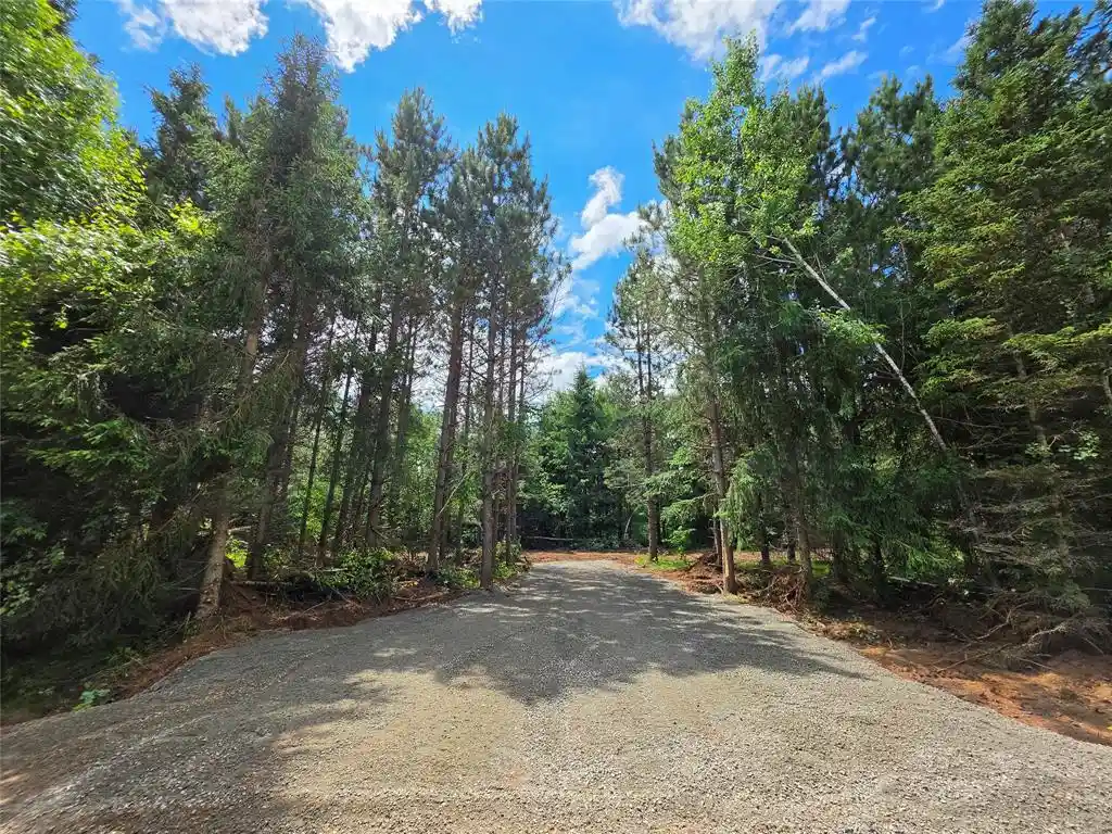 Homes for sale in Bruce, WI | 20 Acres Adams Road Road Road, Bruce, WI 54819 | MLS# 1602683
