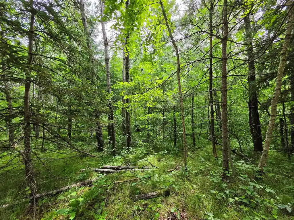 Homes for sale in Bruce, WI | 20 Acres Adams Road Road Road, Bruce, WI 54819 | MLS# 1602683